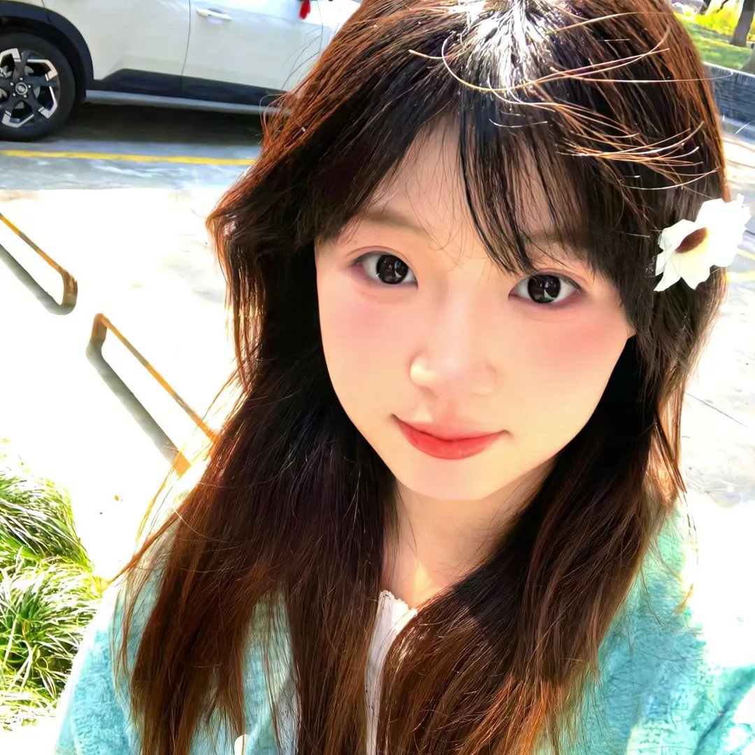 野猫